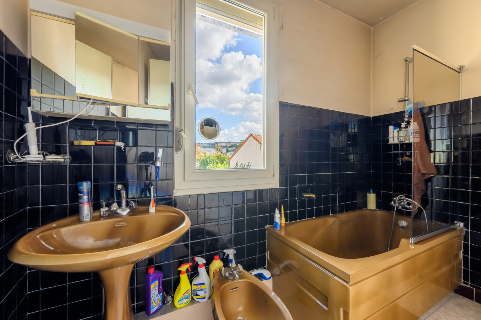 Image_, Maison, Meudon, ref :5959
