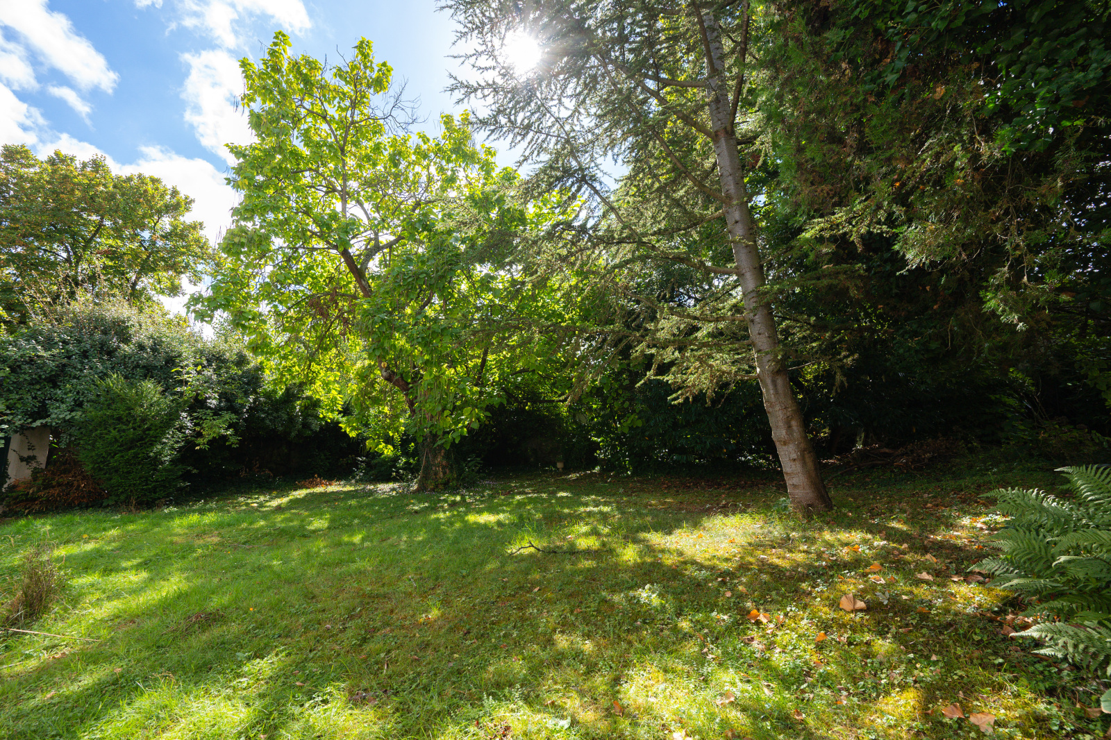 Image_, Maison, Meudon, ref :5957