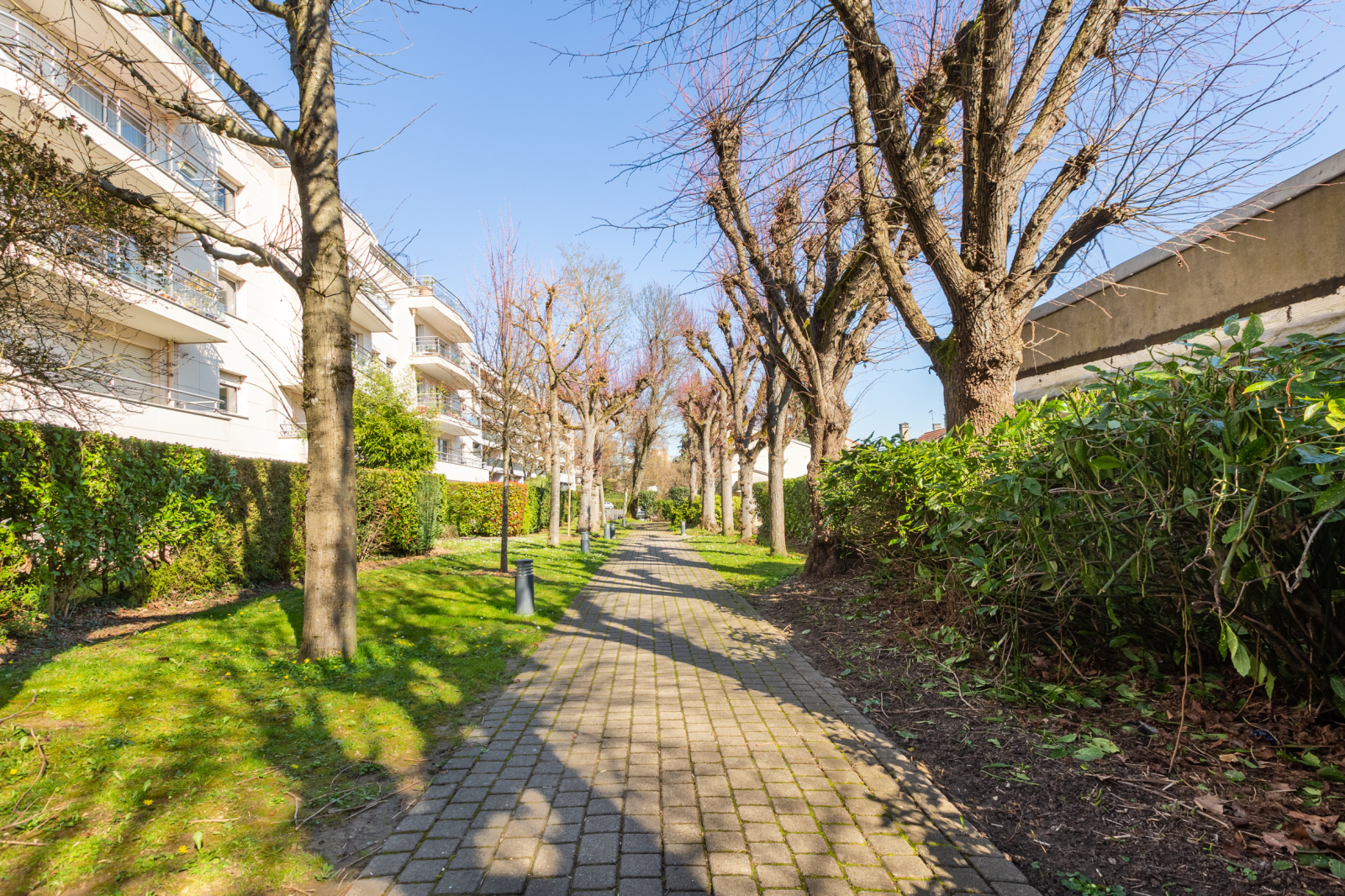 Image_, Appartement, Meudon, ref :5969