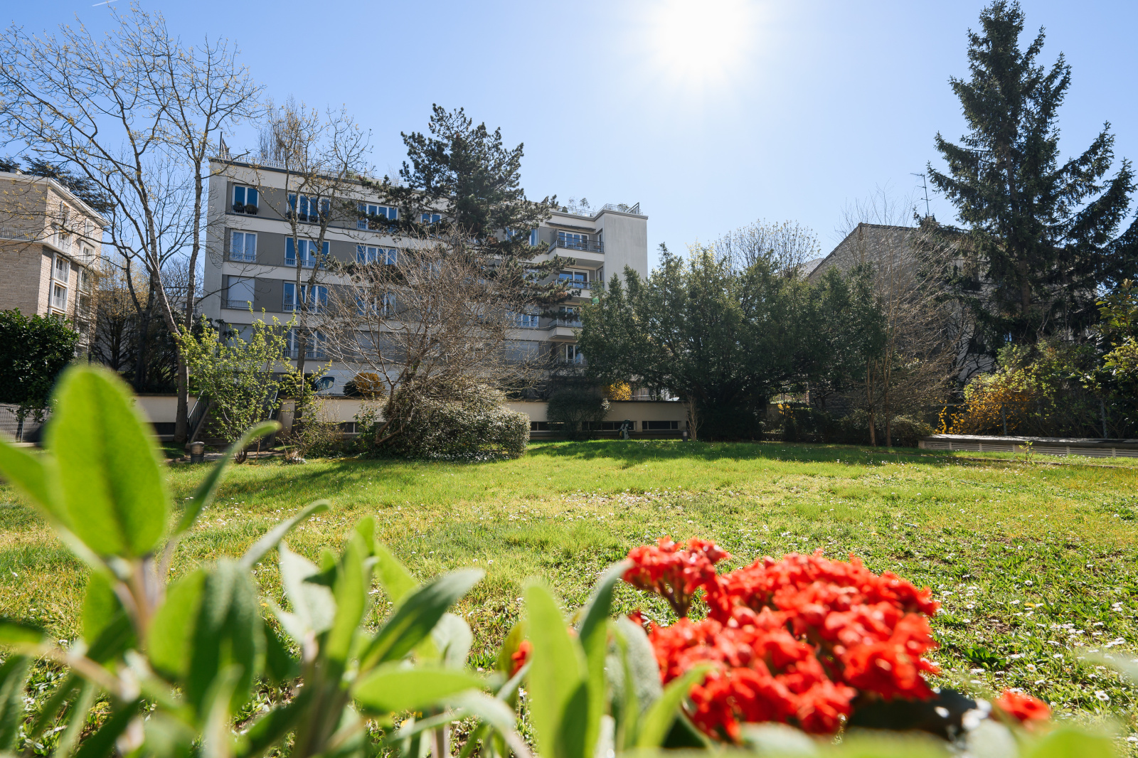 Image_, Appartement, Meudon, ref :5973