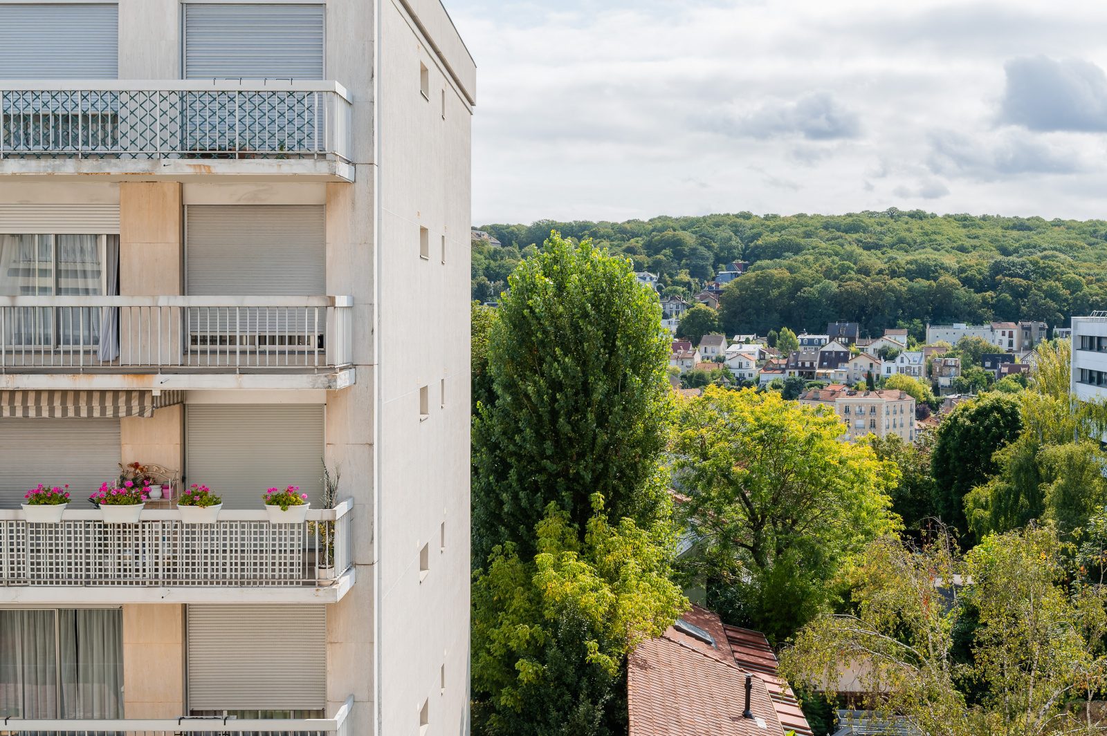 Image_, Appartement, Meudon, ref :5899